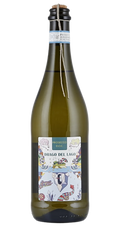 Drago del Lago Prosecco